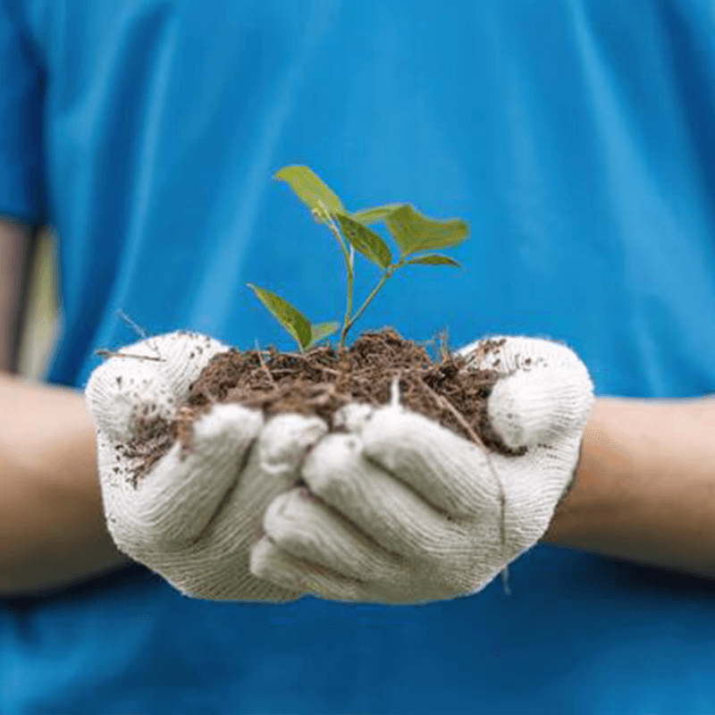 Planting Project