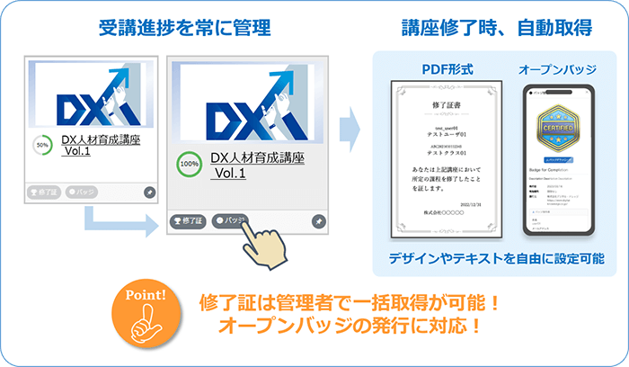 動画ストリーミングオプション「Video+」イメージ