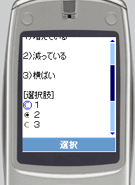 携帯電話画面例(テスト画面)